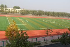 <b>̫�}���z�ܵ����B(y��ng)�韩ô</b>