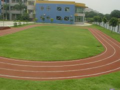 ϩW(wng)(chng)(yu)(sh)ʲô